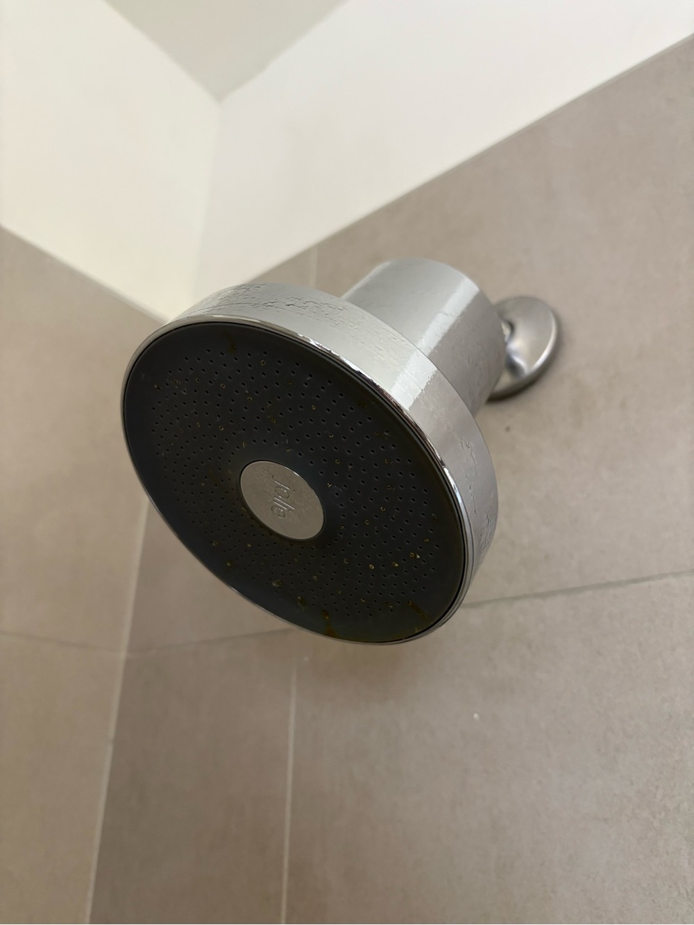 Jolie Polished Chrome Showerhead - Sleek Modern Design